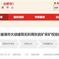 年產(chǎn)砂石980萬噸！安徽儲(chǔ)量超億噸大礦5億起拍