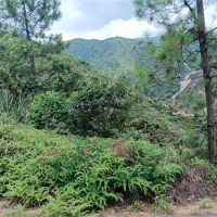 2礦同出！260萬方/年！廣東砂石大礦掛牌出讓
