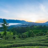 500萬噸/年！湖北儲量約1.12億噸建筑用花崗巖礦擬掛牌出讓